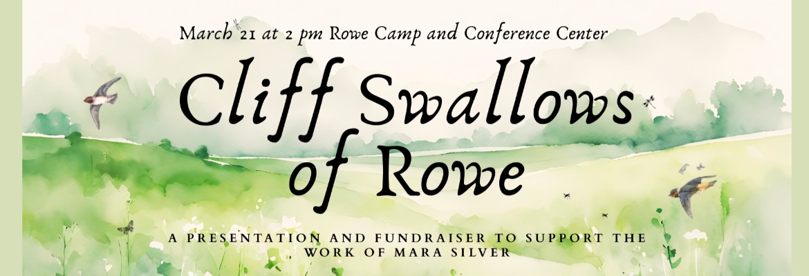 poster for cliff swallows of Rowe, March 21 at 2pm Rowe camp